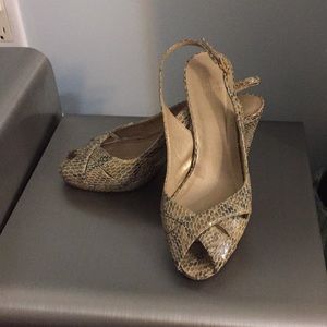 Beautiful Snake  Shoes